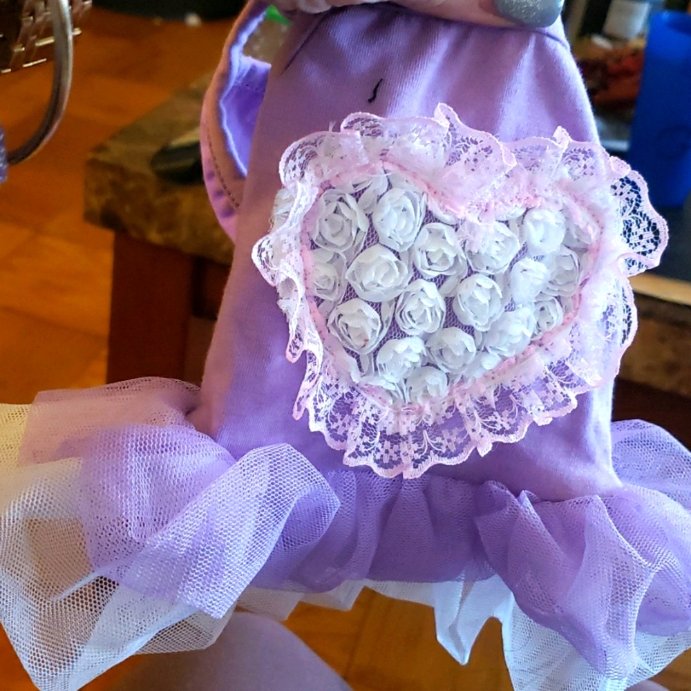 Is a pretty dog dress in purple